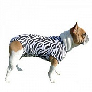 MPS Zebraprint - Функциональная попона для собак (расцветка зебра)