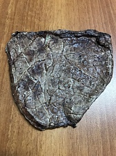 Говяжье лёгкое