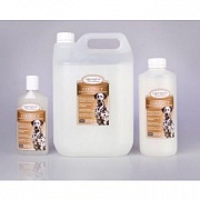 Coconut Shampoo (Шампунь с кокосом)