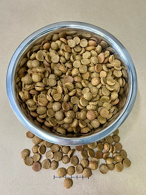 URBAN TRAMP (BIOXYMIN) – Полнорационный гипоаллергенный сухой корм «HOLISTIC» класса для взрослых собак средних и крупных пород с телятиной и брусникой, 26/13.