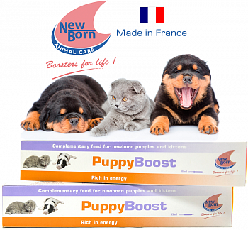 PuppyBoost для ослабленных котят и щенков