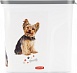 Curver PetLife контейнер для корма "Любимые щенята" на 2 л (1 кг), 21х9х19 см