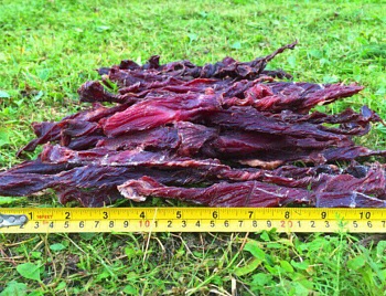 Обрезь вяленая из мяса оленя для собак купить.