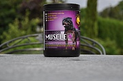 ProDog Muscle + -  Усовершенствованный гейнер для наращивания сухих мышц