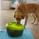 Автоматическая поилка-фонтан "Feed-Ex Dog H2O", 6 л