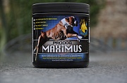 Prodog Maximus – Строительный материал для построения мышц