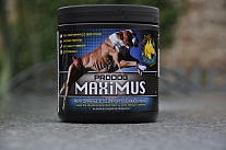 Prodog Maximus – Строительный материал для построения мышц